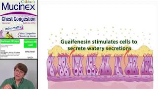 Expectorants Guaifenesin [upl. by Dhiren]