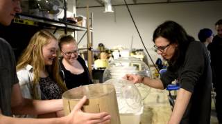 BioFabLab Course Empowers Students to Create Experimental Solutions [upl. by Negroj]