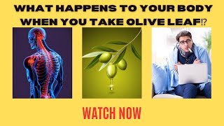 This Is Happening to Your Body On Olive leaf Extract ⁉️ health olives [upl. by Ialohcin]