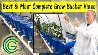 COMPLETE DUTCH BUCKET Instructions  DIY Hydroponic Grow Buckets [upl. by Rehpotsirk292]