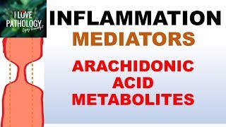 INFLAMMATION Part 5 Chemical Mediators ARACHIDONIC ACID METABOLITES [upl. by Almond]