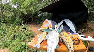 Acampamento com muita Chuva Pescaria de Piau Preparamos Frango Frito [upl. by Htez]