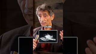 Gabor Maté Explains the Definition of Addiction [upl. by Langer]