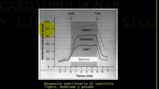 Fisiologia CARDIOPULMONAR Y EJERCICIO 9 [upl. by Juliann]