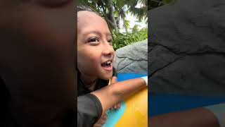 Vlog Taman tema air Amverton Cove [upl. by Nilson]