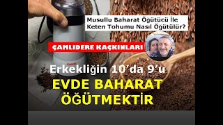 Erkekliğin 10da 9u Evde Baharat ÖğütmektirMusullu Kahve ve Baharat Öğütücü Keten Tohumu Öğütür Mü [upl. by Arraet]