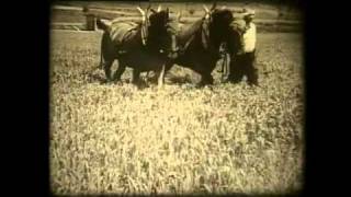 Landwirtschaft gestern Ackerbau in der Schweiz um 1936 [upl. by Netsrik]