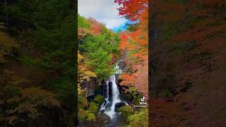 Nikko Tochigi in Autumn 🍁nasu ryuzufalls nikko autumn japan chausu 日光 那須 栃木 紅葉 秋 秋景色 [upl. by Ameehsat]