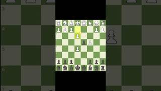 Queen’s Gambit Albin Countergambit chess chesstraps viral [upl. by Airehs]