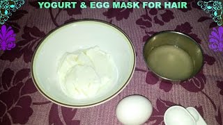 DIY  Egg amp Yogurt Mask For Damaged Hair [upl. by Imotih526]