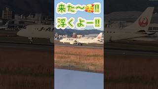 🟢JAIR✈️‼️次々と忙しい伊丹‼️滑走💨から空へ☀️‼️🤗伊丹スカイパーク jal jair プロペラ機 aviation 伊丹空港 takeoff 離陸 shorts [upl. by Fife622]