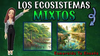 🌍🐊LOS ECOSISTEMAS MIXTOS Sus Tipos Características Flora y Fauna🍃🐠 [upl. by Iluj]