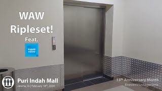 Guided Brand New Schindler 5500 quotFrassengerquot Lift  Elevator  Puri Indah Mall Jakarta [upl. by Adnwahsor81]