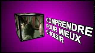 SIEP  DVD Lalternance  Clip vidéo [upl. by Garnette125]