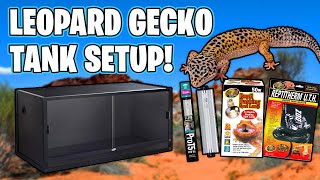 Leopard Gecko Setup for beginners [upl. by Willamina]