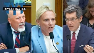 WATCH Dem Witness Has The PERFECT Response To MAGAs Lunacy [upl. by Yadsnil328]