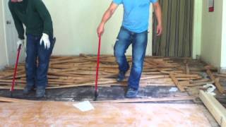 How to remove hardwood floors nail down [upl. by Gregoor]