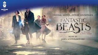 Fantastic Beasts and Where To Find Them Official Soundtrack  Credence Hands Leaflets  WaterTower [upl. by Llerref]