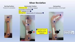 Goniometry Upper and Lower Extremities [upl. by Nnhoj]