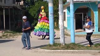 Baile de la chatona y el caballito [upl. by Htiel]