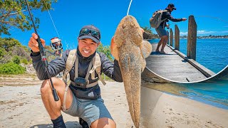 Hit the River  Its The Season For Flat Fish [upl. by Lamonica]