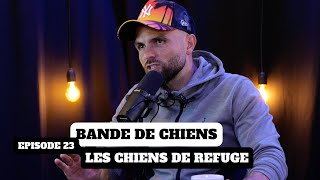 Les chiens de refuge  BANDE DE CHIENS Ep23 [upl. by Toolis]