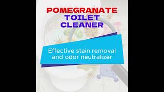 Pomeg Toilet Cleaner for domestic use [upl. by Garnet193]