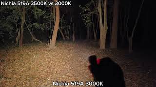 Tint Comparison  Nichia 519A 3500K vs 3000K in dark forest เปรียบเทียบแสง 3500k กับ 3000K ในป่า [upl. by Altman]