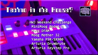 Techno in the House HWJ Challenge Moog Model D DFAM Mother 32 Yamaha PSRSX900 amp Arturia DB [upl. by Eeslehc]