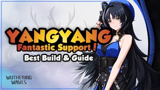 COMPLETE Yangyang Guide  Best Build Weapons Echoes amp Teams  Wuthering Waves [upl. by Kerred]