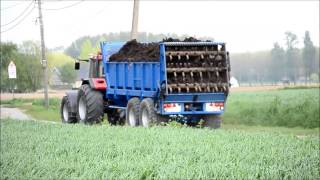 Case ih 1455 xl Sound amp Steyr 9105 [upl. by Camm]