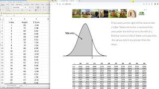 Survey Math Excel  Find Z score  Probability [upl. by Naesar164]