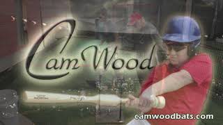 CamWood Bats Coachs Guide to Hitting DVD [upl. by Ole93]