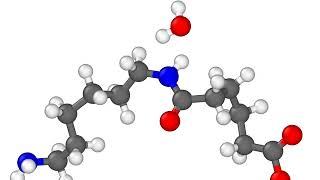 Nylon polycondensation using REACTER [upl. by Howes652]