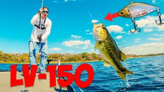 【PreSpawn】Prespawn Florida Grass Cranking Tips【Lipless Crank】 [upl. by Ahtamas]