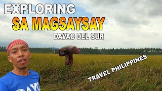 EXPLORING MAGSAYSAY DAVAO DEL SUR  DAVAO DEL SUR  DAYO pH [upl. by Ruamaj]