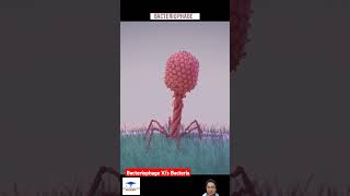 Bacteriophage Vs Bacteria shorts [upl. by Elston205]