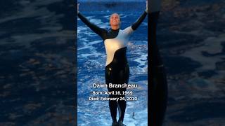 Dawn Brancheau Was Taken To Soon Due To An Unfortunate Event With Orca🕊️seaworld fy fyp trainer [upl. by Mallorie]