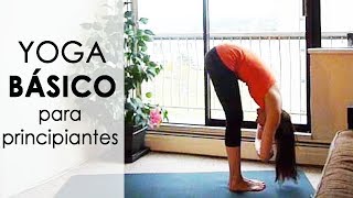 Clase de Yoga Básico para Principiantes  20 min [upl. by Intosh207]