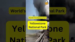 Recent viral video of Geyser eruption in Yellowstone national park nature [upl. by Lebasiairam]