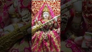 Saraswati Mata ki Aarti [upl. by Jarrid]