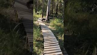 Riding the boardwalk at Woolgoolga mtb mountainbike enduromtb shorts [upl. by Enirol695]