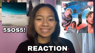 5 Seconds Of Summer  Complete Mess Music Video REACTION  5SOS5 [upl. by Rentschler898]