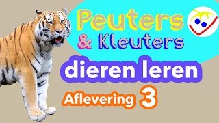 Dierennamen  Eerste Woordjes  Dieren Leren Aflevering 3 Peuters en Kleuters [upl. by Neral]