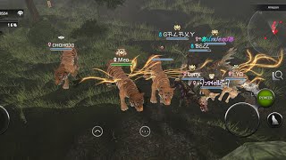 Wild Animals online animationWaoGameplay [upl. by Carlin970]