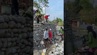 Stone wall constructions shortvideo stonewall stonewalling shorts ytshortsvideo youtubeshort [upl. by Ronny669]