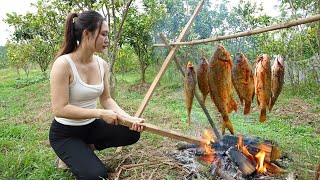 Catch big fish to cook survive by picking wild fruits in the forest peaceful lifeharvest [upl. by Veda]