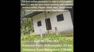 14 Acre coffee plantation for sale in chikmagalurprice22 Lakh per Acrecall me9019951837 [upl. by Demeter]