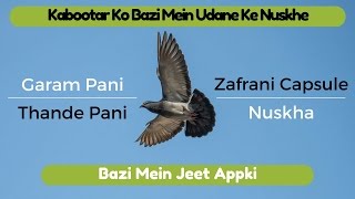 Kabootar Ki Parwaz Ke Nuskhe  Garam Pani  Thande Pani Aur Parwaz Ke Liye Nuskha By Malik [upl. by Mullac178]