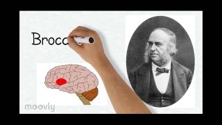 History of Neuropsychology Methods Taiwo [upl. by Eelrac310]